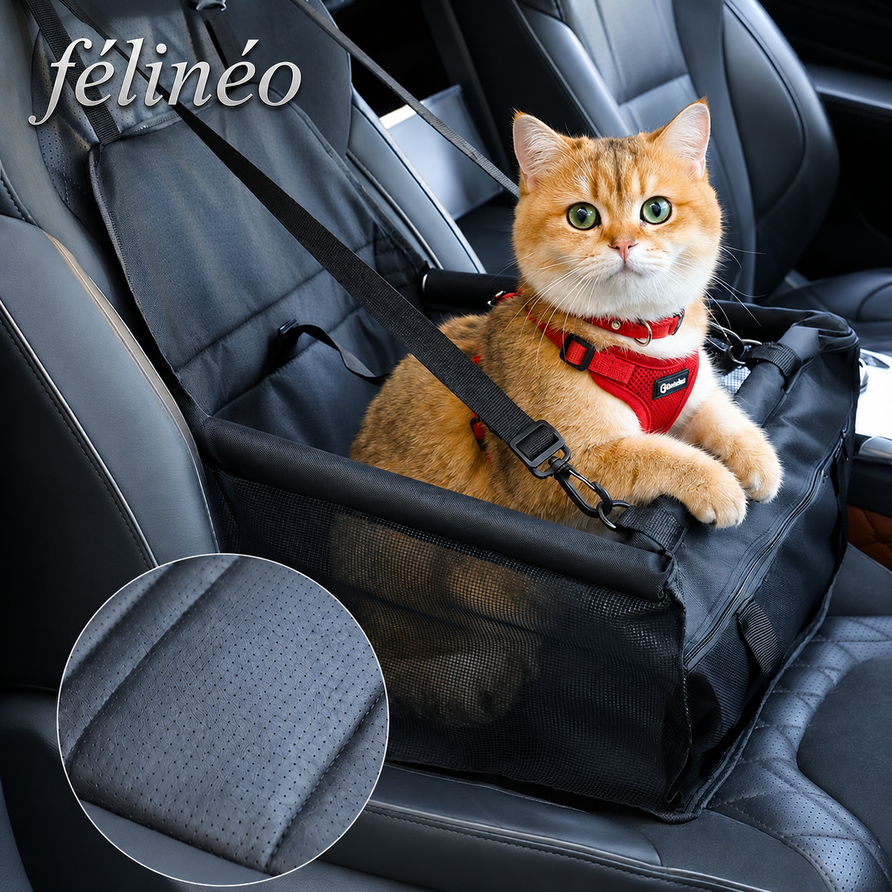 siège de voiture de sécurité pour chien et chat