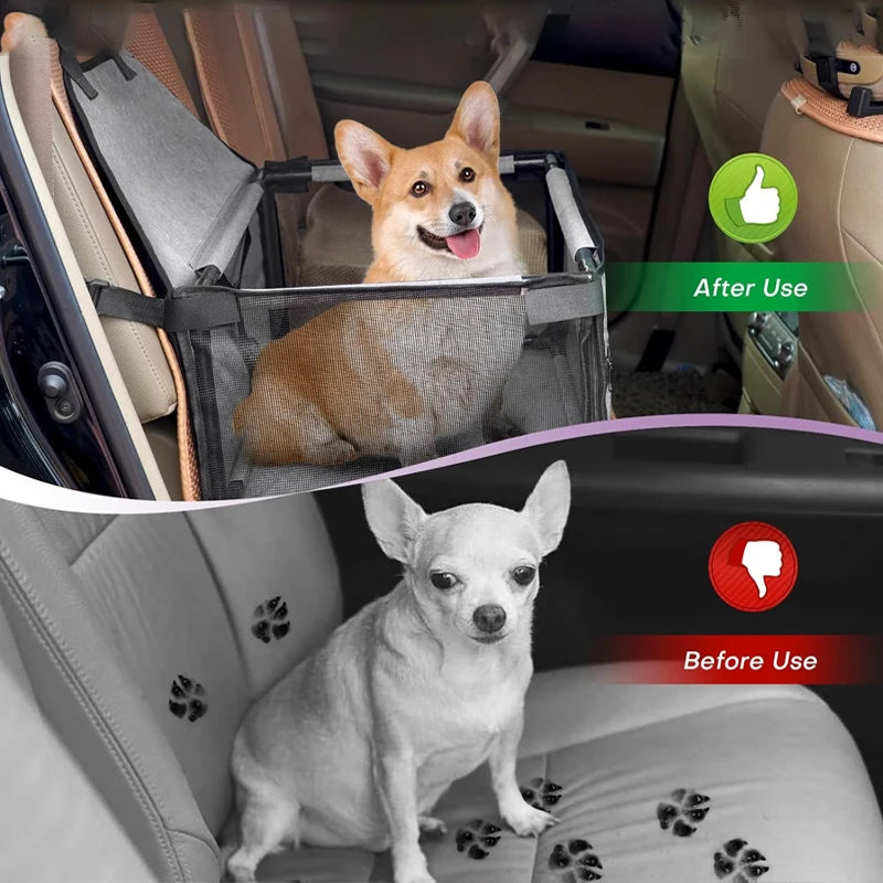 siège de voiture de sécurité pour chien et chat